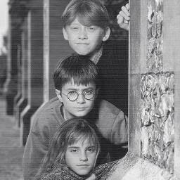 RT tweets about Harry Potter.