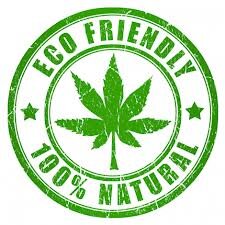 To build a safer, better future by promoting, educating and utilising the amazing versatility of the hemp plant for environmental, health and energy benefits!
