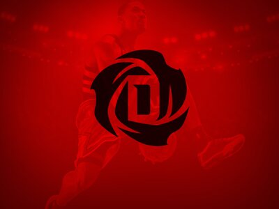 Bulls