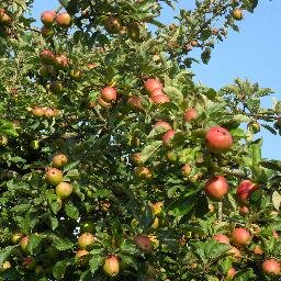 MJM3346's profile picture. 