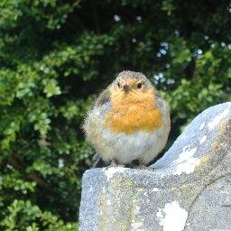 AMinorSaint's profile picture. I tweet for the challenge. Can I saying anything worth saying in 140 characters?