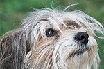 はじめまして。舞台鑑賞と犬が大好きです。生きてると色々ありますが、読書では昔の人や今の人の名言集などに最近はまっています。気軽にからんでくださいね！！