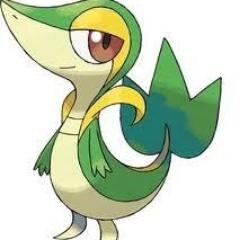 SnivyPlanta's profile picture. Soy hembra,fiel,amigable y muy dulce.nivel:7