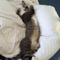 Mark Shultz (@coachshultz) 's Twitter Profile