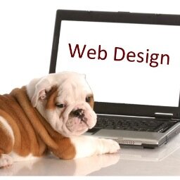 Business  students  information resource!