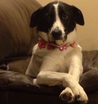 NebraskaGirlArt's profile picture. Inspired by the creativity of nature and it's inherent beauty.