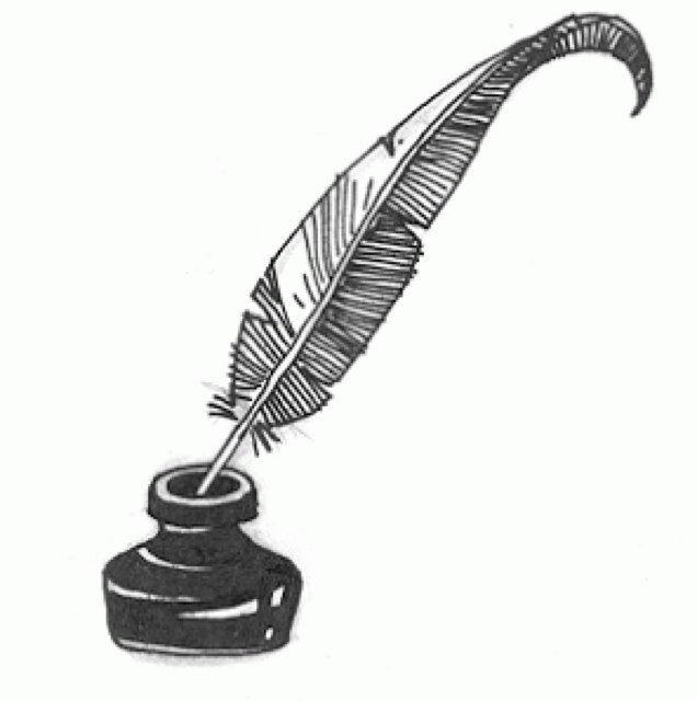 Sexualidad, deporte, noticias, salud, ecología, biología, música, frases célebres y todo tipo de curiosidades. For more information, follow me.