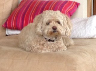 Tarksol's profile picture. 