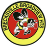BeesBoosters's profile picture. We encourage and support participation in athletic activities in the Brecksville-Broadview Heights School System. 🐝🐝🐝