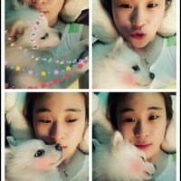 양용하 (@popacolor) 's Twitter Profile