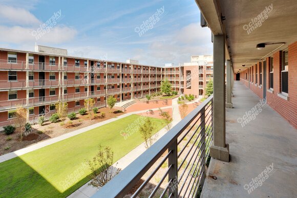 Scott Hall life is the best life.