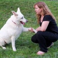 Jennifer Cattet PhD (@jennifercattet) 's Twitter Profile Photo