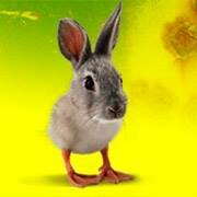 Small feisty NZ theatre company. Watch - Laugh - Think. Warning contents rated funny.