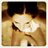 camigalindoo's profile image