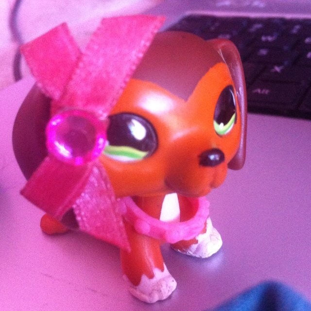 therealSavReed's profile picture. hey im savannah but you can call me sav or savannah im dateing sage plus my bffls are lina and genny and working with sophie was a honnor