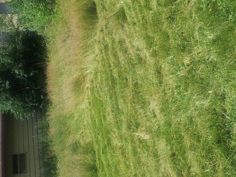 thdenise38's profile picture. 