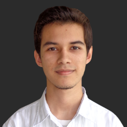 Soy Programador y Diseñador Web. Mi pasión es el desarrollo de aplicaciones y plataformas web.