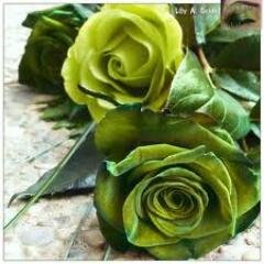 وقل ربــــــي  •°• زدنـــــي علمـــــــأً•°• ......... سوريـــــ❤ـــا عشقـــي