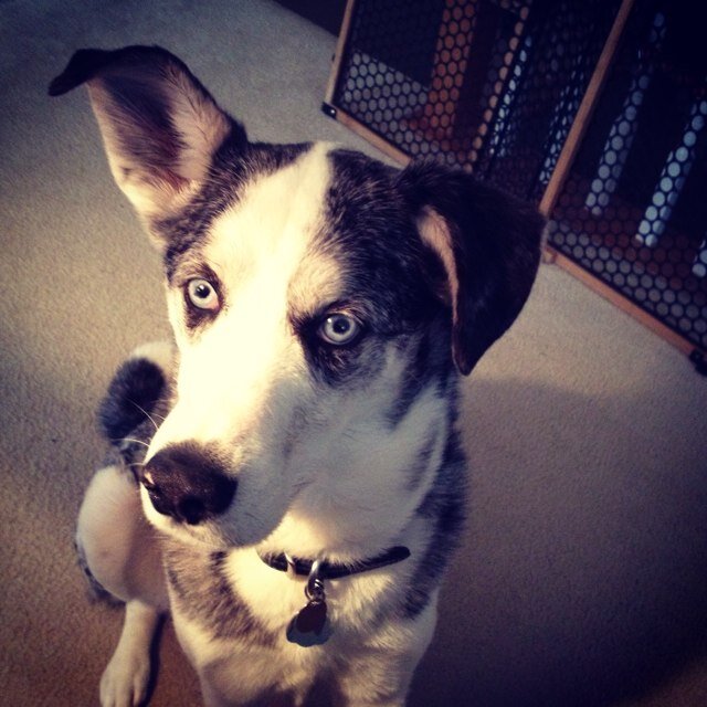 GelbandMgelband's profile picture. 