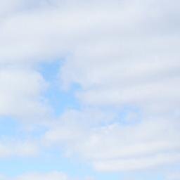 secretagentnoir's profile picture. Ummm, Why?