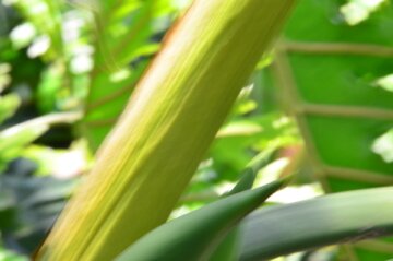 wullebull's profile picture. 