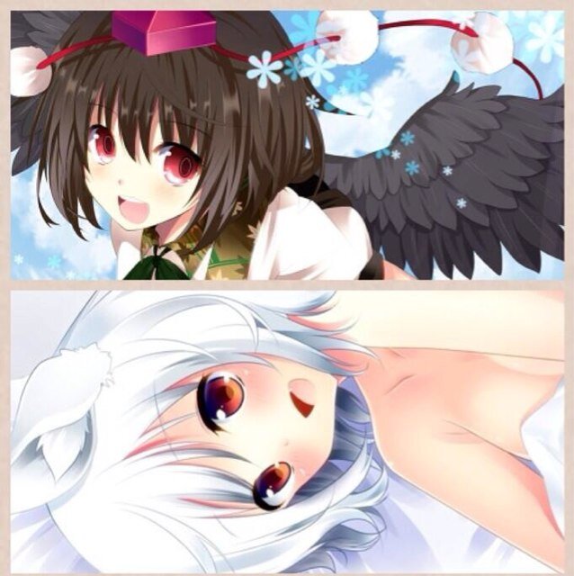 SHIROKUMAさんのプロフィール画像