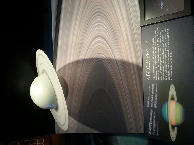 fenz_y's profile picture. 