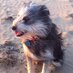 Jane (@vintage_things_) Twitter profile photo