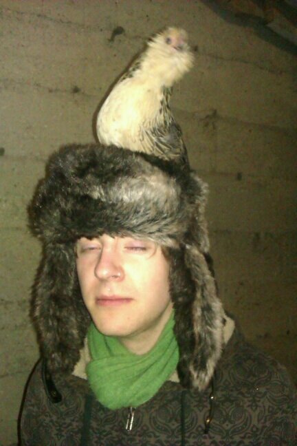 wearing a chicken. why not.