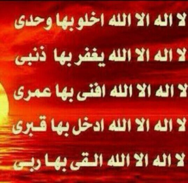 moustsfs's profile picture. 