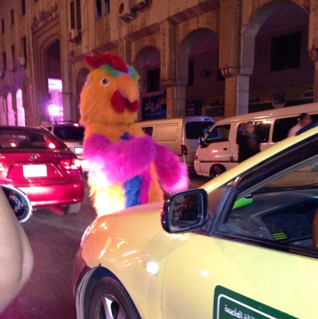 mamorales1234's profile picture. 