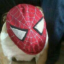 darrenmcecram's profile picture. VIP