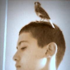 salut