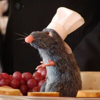 magicliveswithin (@magicliveswthin) 's Twitter Profile Photo