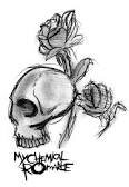 i follow back xx