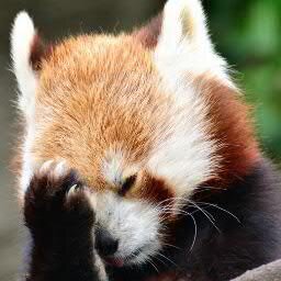 The_Fool_XIII's profile picture. Закадычный враг. Кавайный мерзавец.