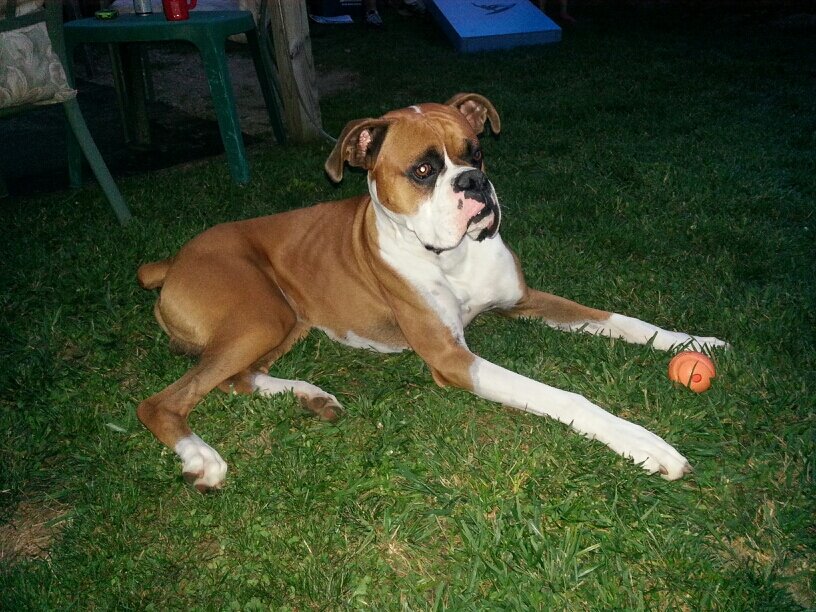 karenllevan's profile picture. 