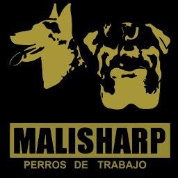 Adiestramiento canino en Aspe (Alicante) ofrecemos cursos de adiestramiento para cachorros, perros con problemas, adiestramiento básico, avanzado, en grupos ...