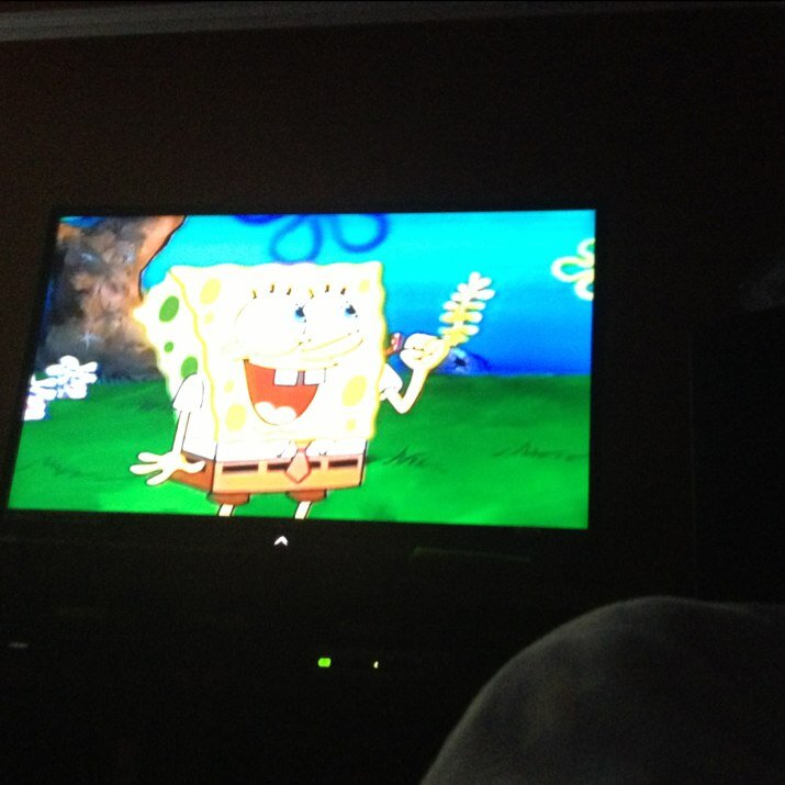 pewds100's profile picture. 