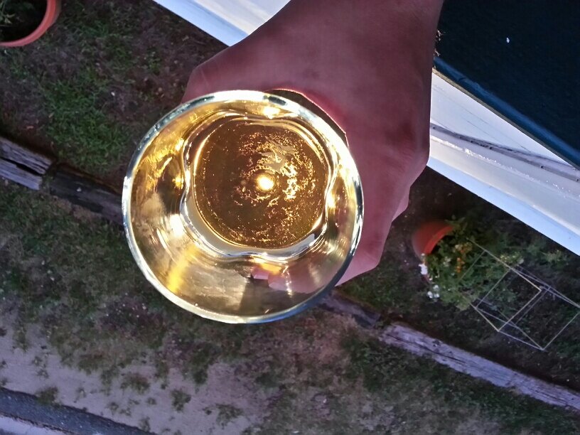 wholeninetoes's profile picture. Resident expert in pretty much everything.