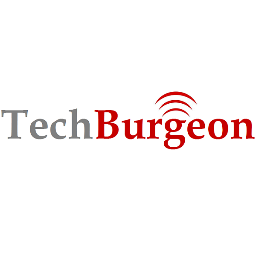 TechBurgeon's profile picture. 