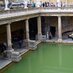 Bath Guide (@bathguide365) Twitter profile photo Bath Guide (@bathguide365) Twitter profile photo