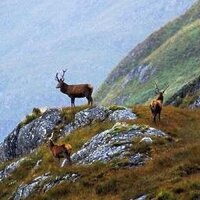 ADMG (@admgscotland) 's Twitter Profile Photo ADMG (@admgscotland) 's Twitter Profile Photo
