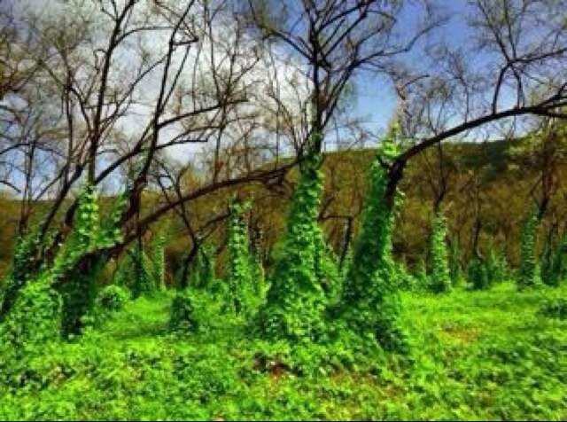 haboobaa2011's profile picture. 