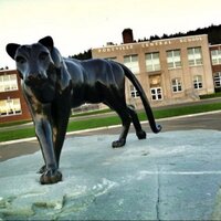 Portville Athletics (@pcs_panthers) 's Twitter Profile