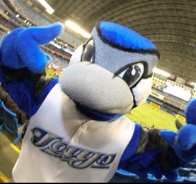 TORONTO BLUE JAYS #lovethisteam