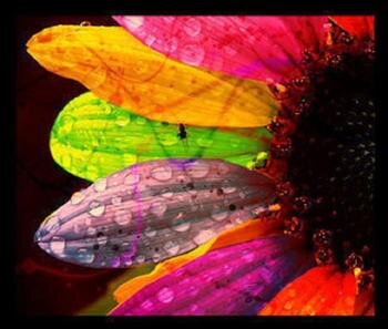 depend_on_sun's profile picture. Меня зовут Ольга, я люблю инди-лаки и другие дикие глиттеры, о них и пишу.