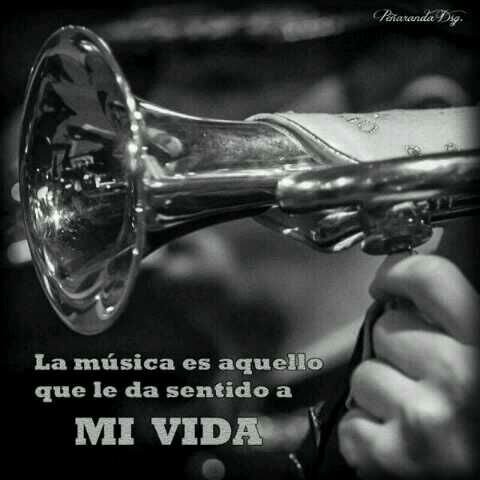 MundoBandas Profile Picture