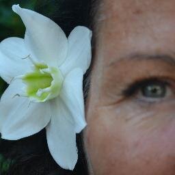 kweker van exclusieve eucharis ,mooie witte bloem heerlijk geurend, bruid en rouwwerk, planten en bloemen koningshuis https://t.co/ejdEoVRm30