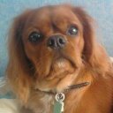 yvonne sturgess (@1965Yvonne) Twitter